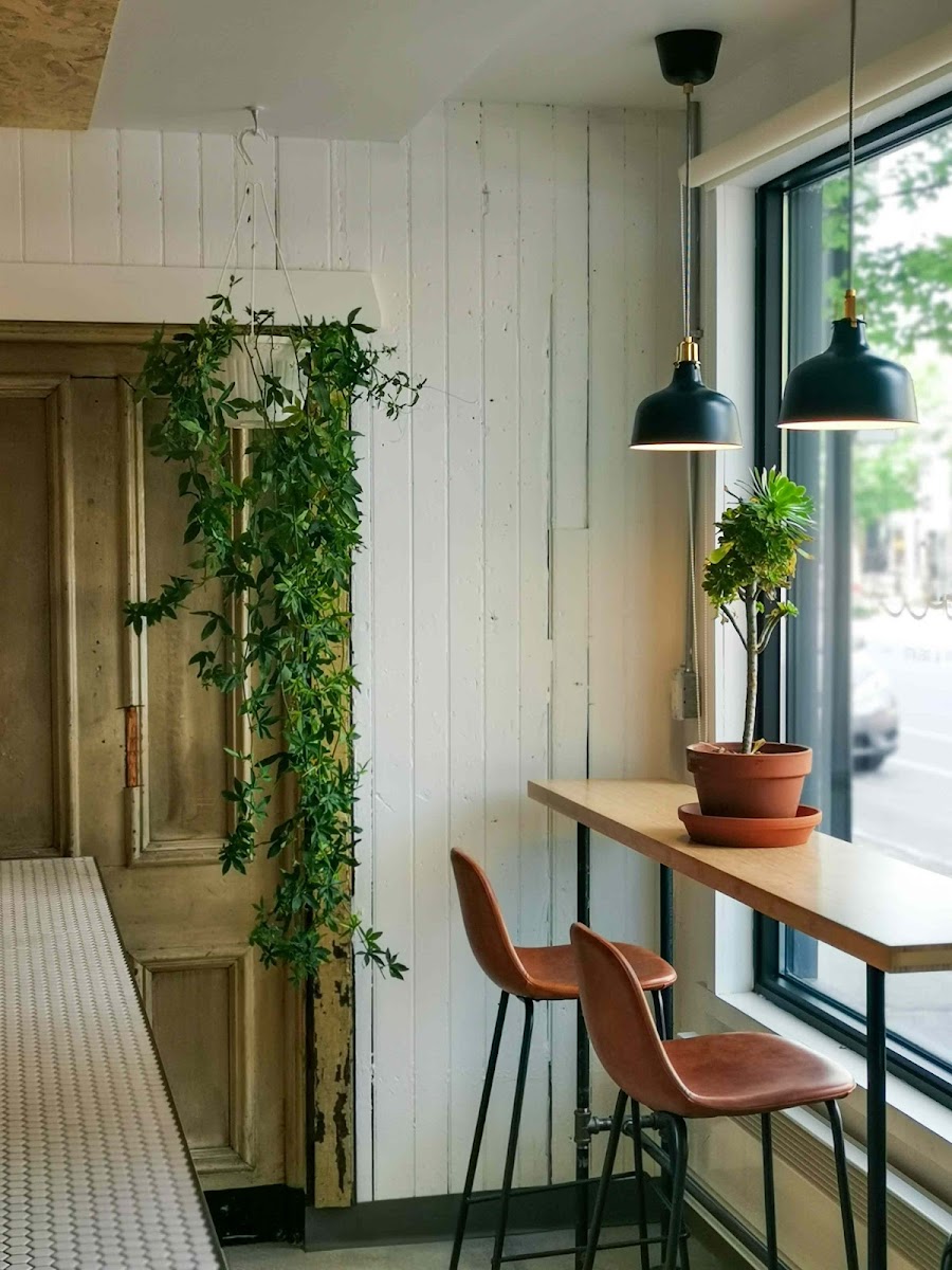 Mollo Café - Gelato